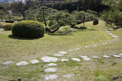 5c6b3a78.jpg