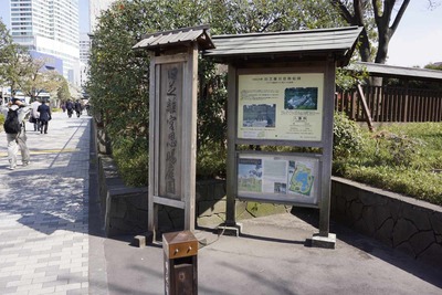 504372bf.jpg