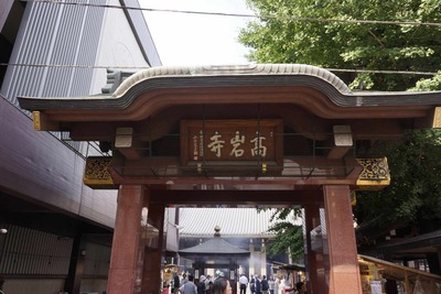 d3918f01.jpg