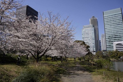 2012年とある春の日の東京都臨海地区遊戯(大田区・港区)　旧芝離宮恩賜庭園見学後半編