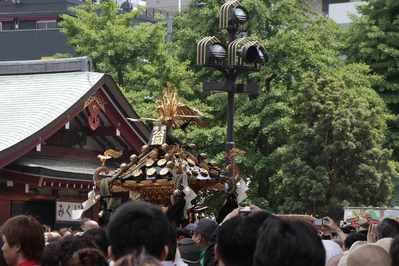 8f03d459.jpg
