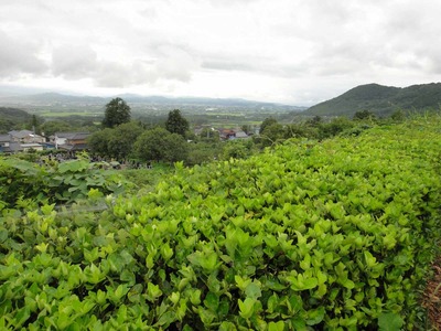 d779bca0.jpg