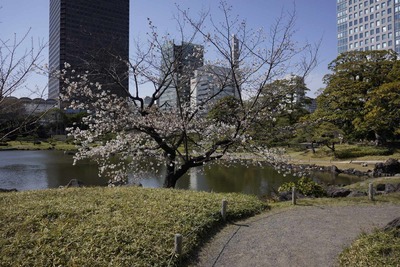 e0f03965.jpg