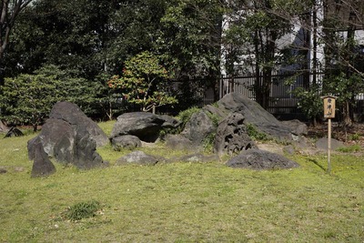 9557a15a.jpg
