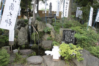 f3495114.jpg