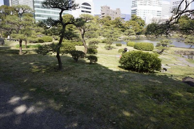 1b914a70.jpg