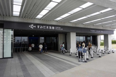 東京スカイツリーやすみだ水族館を探訪　すみだ水族館内部を見学前半編(実はプランクトンなクラゲコーナーが熱い！)