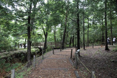 24e16460.jpg