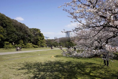2012年とある春の日の東京都臨海地区遊戯(大田区・港区・中央区)　浜離宮恩賜庭園見学前半編