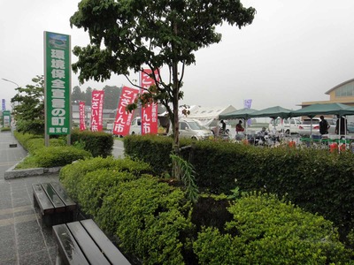 90371c3f.jpg