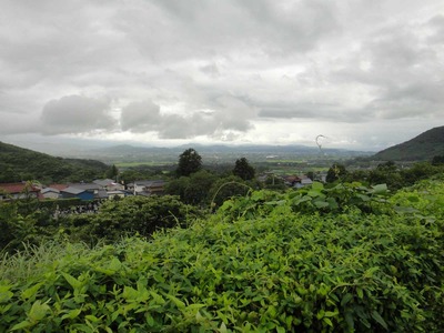d8d93b15.jpg