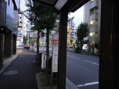 28370356.jpg