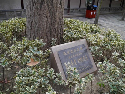 870324d4.jpg