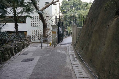 c3554031.jpg