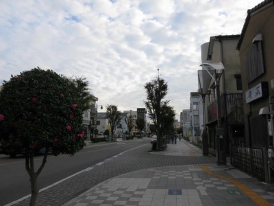 c0990751.jpg