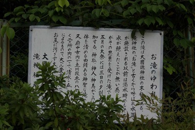 03215b01.jpg