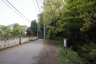 07fd0f96.jpg