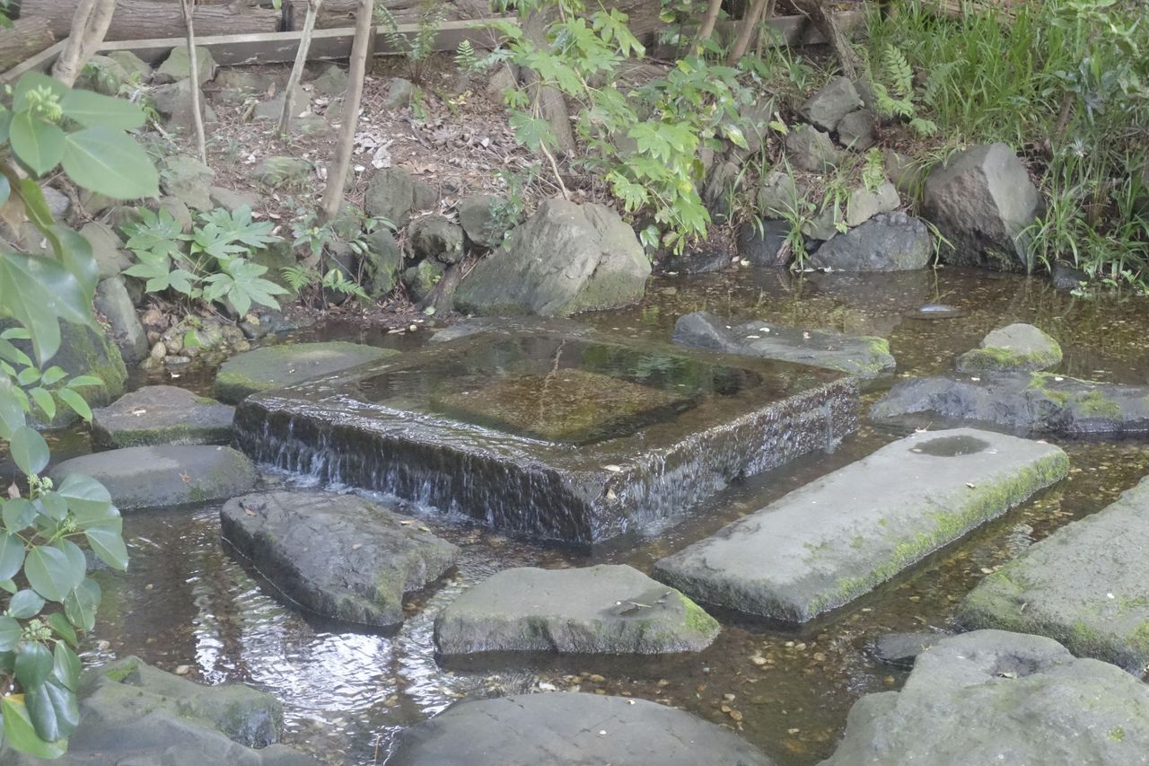 東京都武蔵野市 井の頭公園 お茶の水 ポケモンとモルモン教徒の勧誘の巣と化しているのでポケモンgoで遊ぶ場合は注意 東京名水探訪