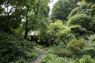 2f898567.jpg