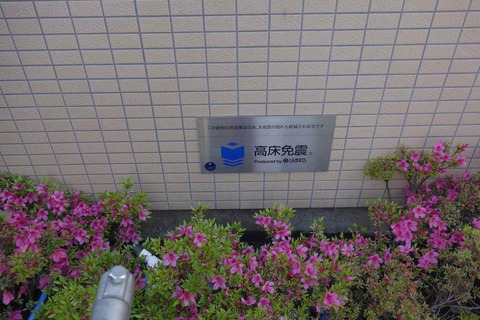 5c895258.jpg