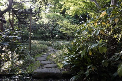65f5d38a.jpg