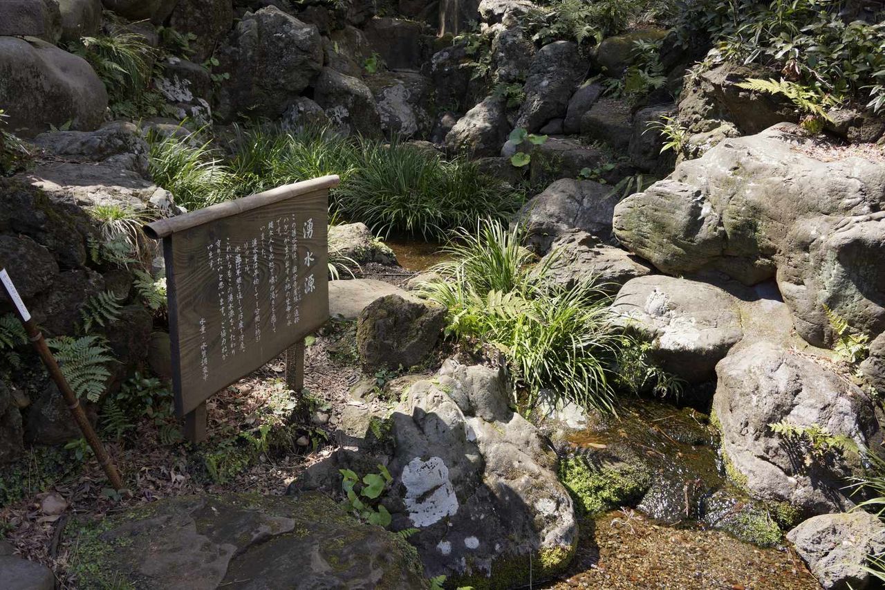 東京都国分寺市 殿ヶ谷戸庭園 湧水のある庭園内の様子 東京名水探訪