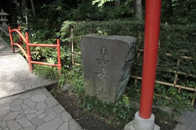 b57321d7.jpg