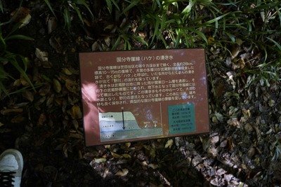 c370c894.jpg