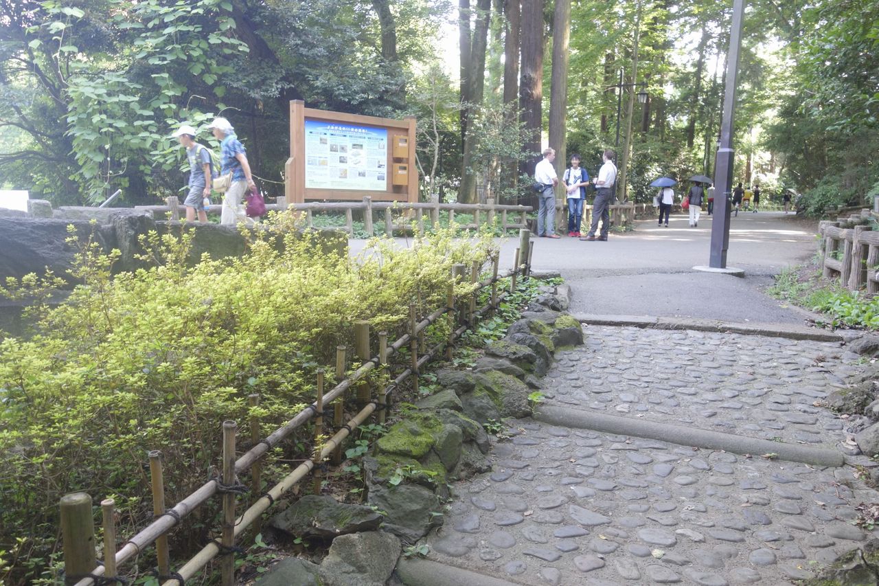 東京都武蔵野市 井の頭公園 お茶の水 ポケモンとモルモン教徒の勧誘の巣と化しているのでポケモンgoで遊ぶ場合は注意 東京名水探訪