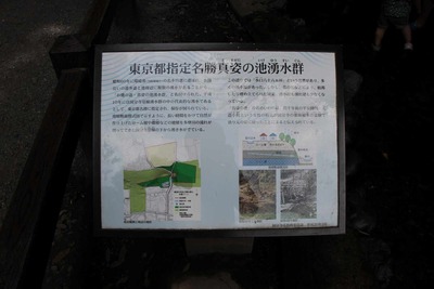 d313b278.jpg