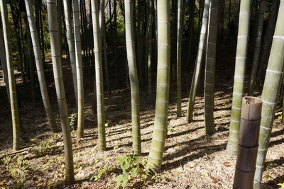 d71c560f.jpg
