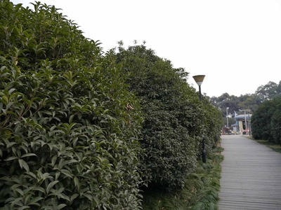 192d57df.jpg