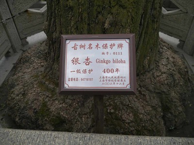 62918216.jpg