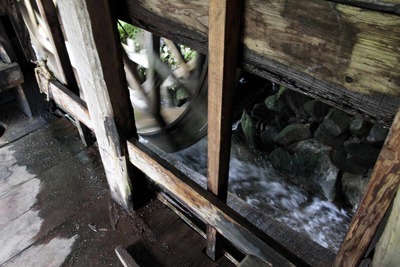 035c08e5.jpg