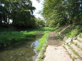 0c907283.jpg