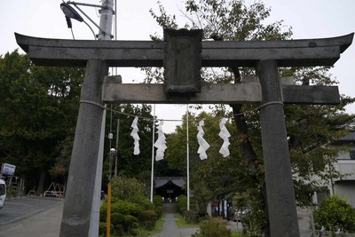0f755238.jpg