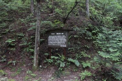 s-_MG_7599