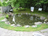 19a97771.jpg