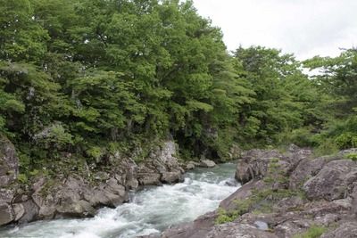 s-_MG_8619