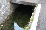 まつもと城下町湧水群6