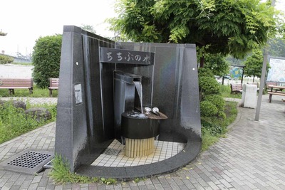 1cebe566.jpg