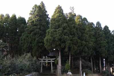 20d86a99.jpg