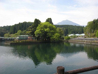 2a735194.jpg