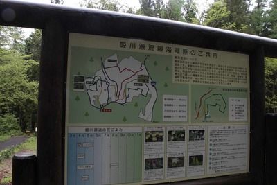 s-_MG_7978