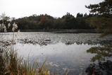 30d8f080.jpg