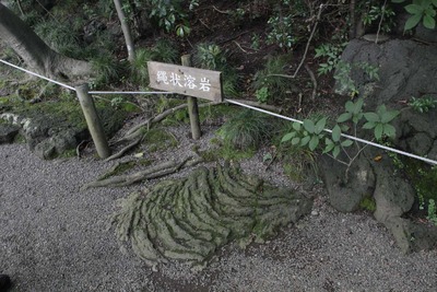34daaba4.jpg