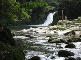 35238a11.jpg