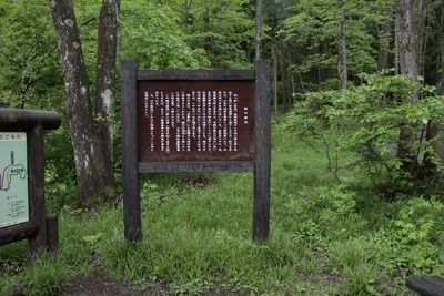 s-_MG_8042