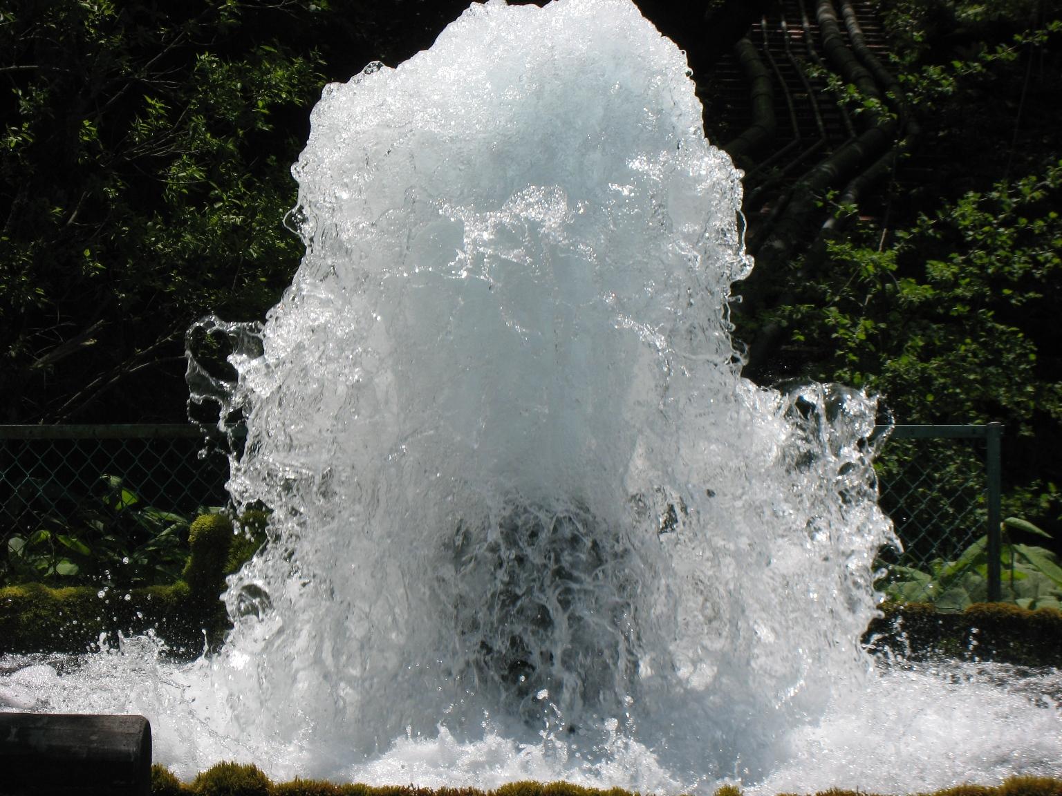 417a2f8c.jpg