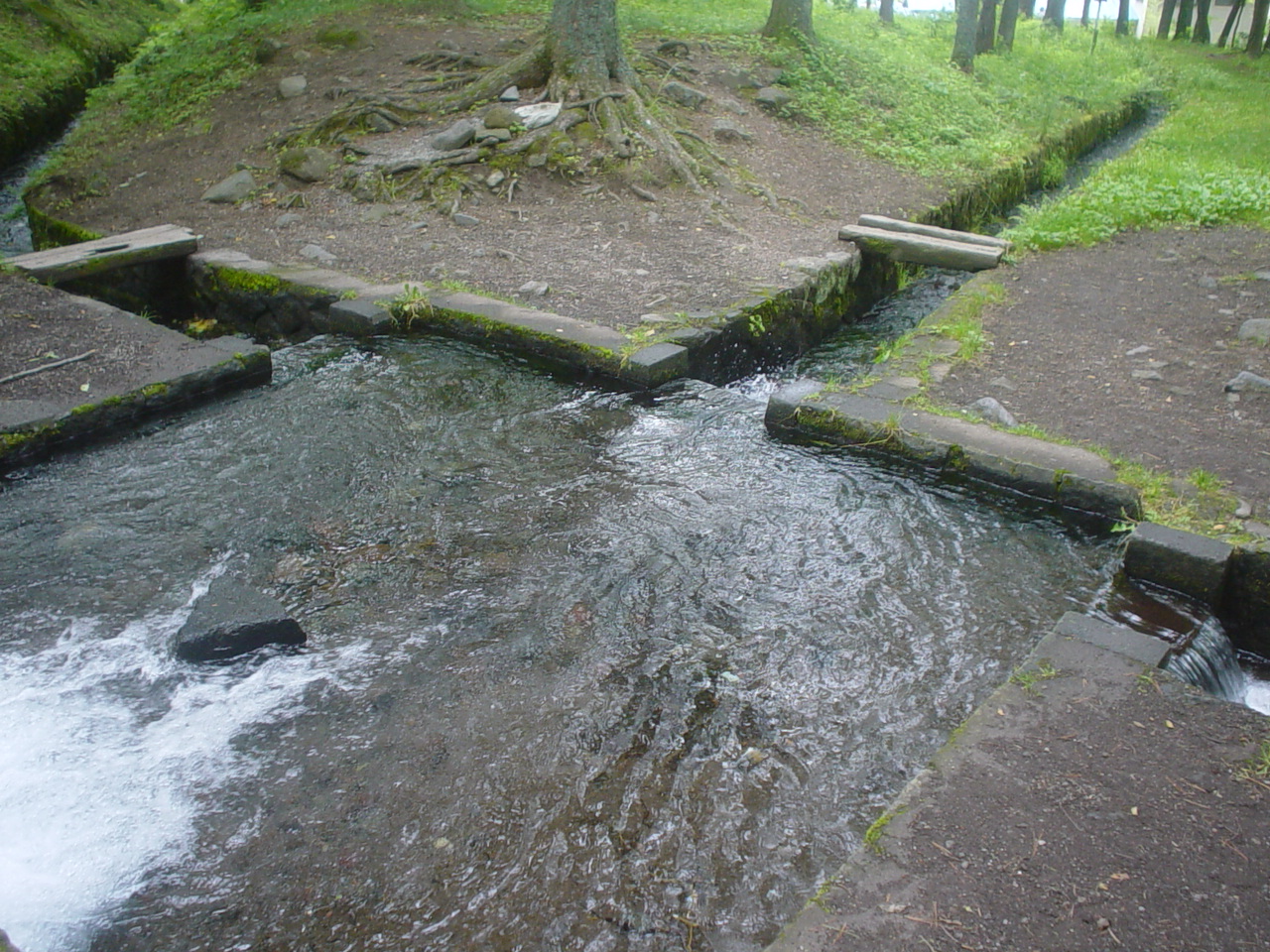 41ac7d53.jpg